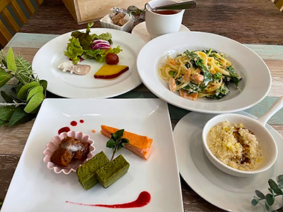 レディースセット